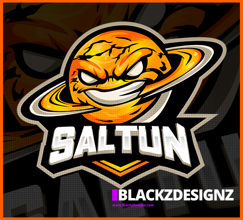 Logodesign SaltunLogho