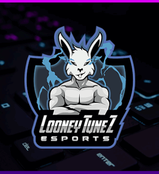 PartnerLooneyTunez