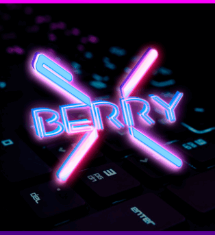 PartnerxBerry